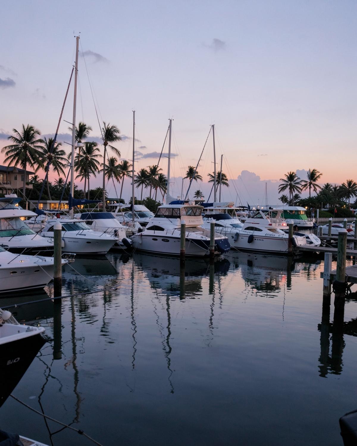 Marina con embarcaciones al anochecer rodeada de palmeras